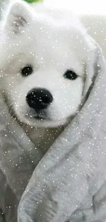 Adorable fluffy puppy wrapped in a blanket, ideal for a cozy mobile wallpaper.