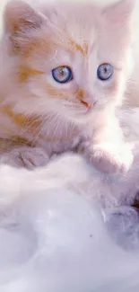 Adorable fluffy orange kitten with blue eyes, lying on soft white fur.