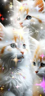 Fluffy kittens wallpaper with sparkling details.