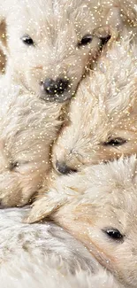 Adorable fluffy puppies cuddling closely, creating a warm and cute scene.