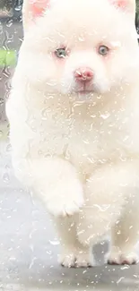 Adorable fluffy puppy running on pavement with bright background.