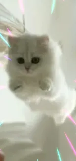 Adorable white kitten flying with colorful light streaks.