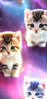 Adorable kittens with galaxy background on mobile wallpaper.