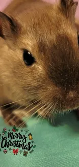 Adorable gerbil with Merry Christmas text.