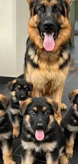 German Shepherd dog with four puppies.