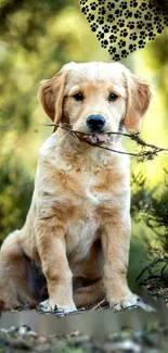 Cute golden retriever puppy in a green forest setting, holding a twig.