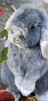 Cute gray rabbit with red rose wallpaper.