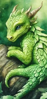 Cute green dragon illustration on a log.