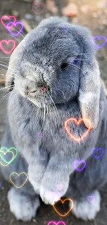 Adorable grey rabbit sits on earth background.