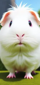 Adorable guinea pig standing on green grass in a natural setting.