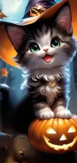 Cute kitten in witch hat on pumpkin for Halloween wallpaper.