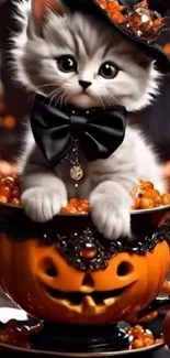 Cute kitten in pumpkin decor with Halloween theme.