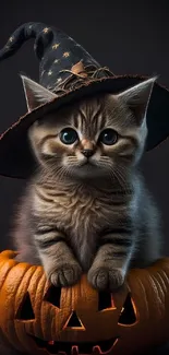 Cute kitten with witch hat in pumpkin, Halloween theme.