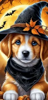 Cute puppy in witch's hat with pumpkins for a Halloween theme background.