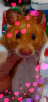 Adorable hamster with pink hearts on a vibrant wallpaper background.