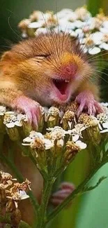 Adorable yawning hamster nestled in flowers, surrounded by green leaves.