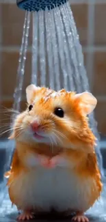 Cute hamster enjoying a shower with water streaming down.