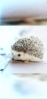 Adorable hedgehog on tiles with a sparkling pastel background.