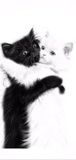 Black and white kittens hugging beautifully.