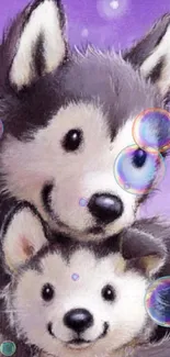 Illustration of cute husky puppies with a purple background.