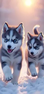 Two adorable husky puppies in snow under a soft purple sky.