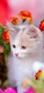 Cute kitten surrounded by colorful flowers in nature.