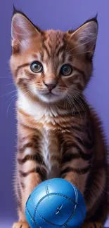 Adorable striped kitten with a blue ball on purple background.