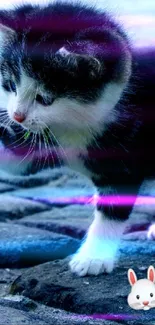 Playful kitten with plush bunny on cobblestone path.