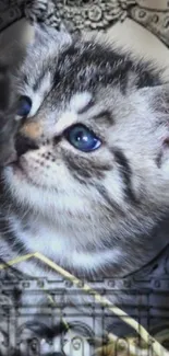 Adorable kitten with blue eyes, artistic background.