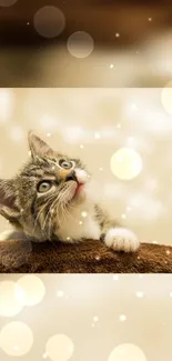 Adorable kitten with bokeh background in soft beige tones.