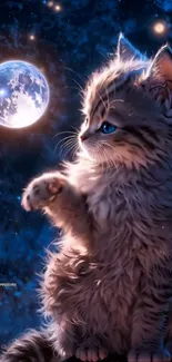 Cute kitten gazing at the moonlight with a starry backdrop.