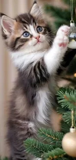 Adorable kitten playing with Christmas tree ornament.