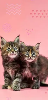 Adorable kittens on a pink background mobile wallpaper.