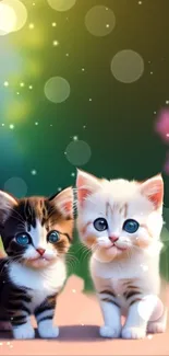 Two cute kittens with big blue eyes in a bokeh background.