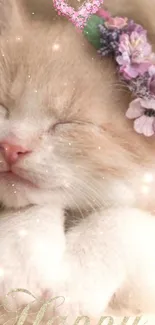 Adorable sleeping kitten with floral crown wallpaper.