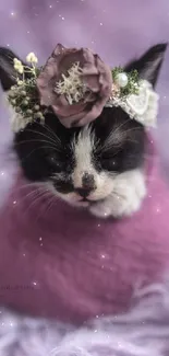 Adorable kitten in pink wrap with floral crown on purple background.