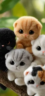 Group of adorable fluffy kittens on a branch.