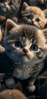 Group of fluffy kittens with big eyes, creating an adorable mobile wallpaper.