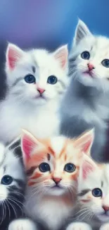 Five cute kittens with colorful fur posing in a charming group photo.