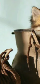 A cute kitten peeking out of a brown boot.