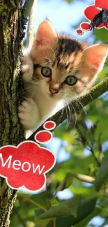 Adorable kitten peeks from tree with thought bubbles. Perfect for cat lovers.