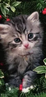 Fluffy kitten nestled in festive Christmas greenery with red berries.