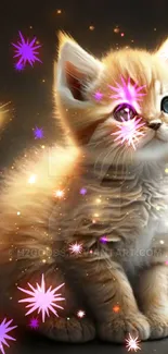 A fluffy kitten sits in a cosmic glow with sparkling stars.