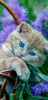 Ginger kitten in a flower basket with purple blooms and green background.