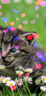 Adorable kitten playing among daisies in a grassy field.