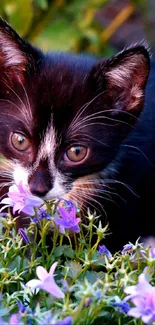 Close-up of a black kitten among purple flowers.