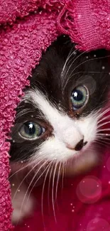 Cute kitten peeking from a pink blanket, creating a cozy atmosphere.