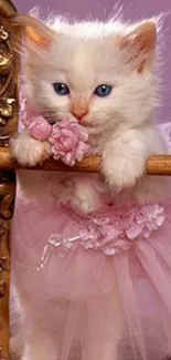 Adorable kitten in a pink tutu dress leaning on a decorative gold bar.