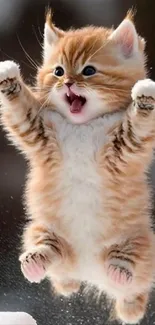 Cute orange kitten jumping excitedly in the snow, displaying playful energy.