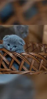 Adorable kitten peeking out from a wicker basket, perfect for a mobile wallpaper.